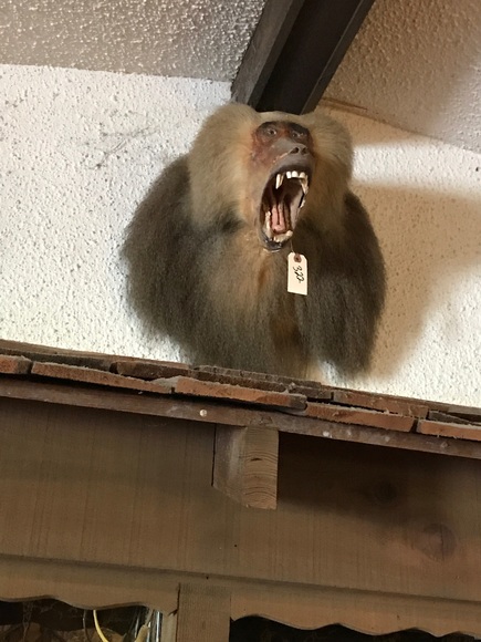 Image for Blaschke Estate On-Site Estate Auction