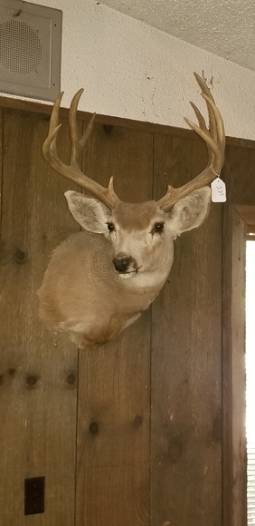 Image for Blaschke Estate On-Site Estate Auction