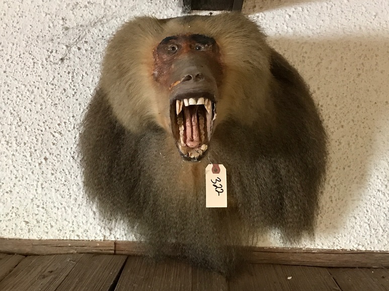 Image for Blaschke Estate On-Site Estate Auction