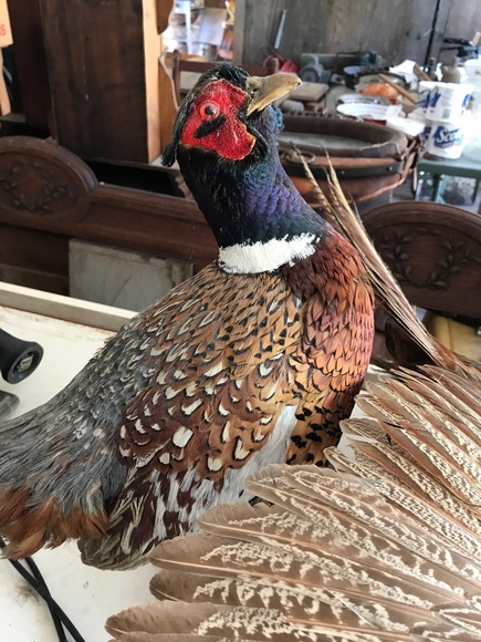 Image for Blaschke Estate On-Site Estate Auction