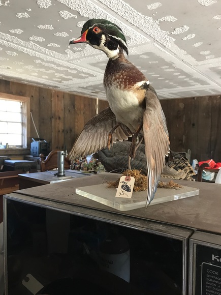 Image for Blaschke Estate On-Site Estate Auction