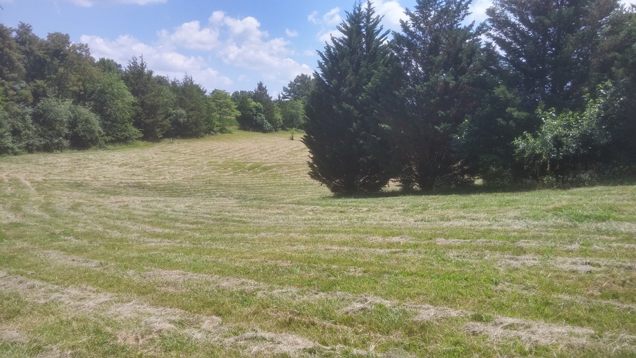 Image for Commissioner's Sale - 195 Mills Road, Mt. Airy, NC