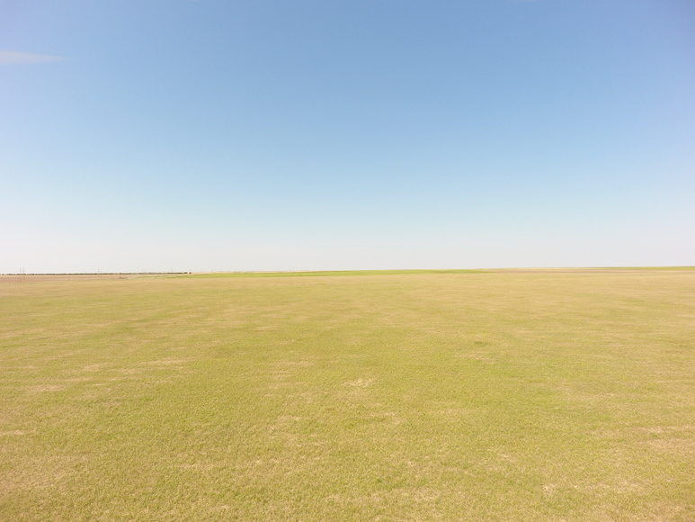 Image for PLATTNER FAMILY AUCTION - SUCCESSFUL AUCTION - SOLD $793,500