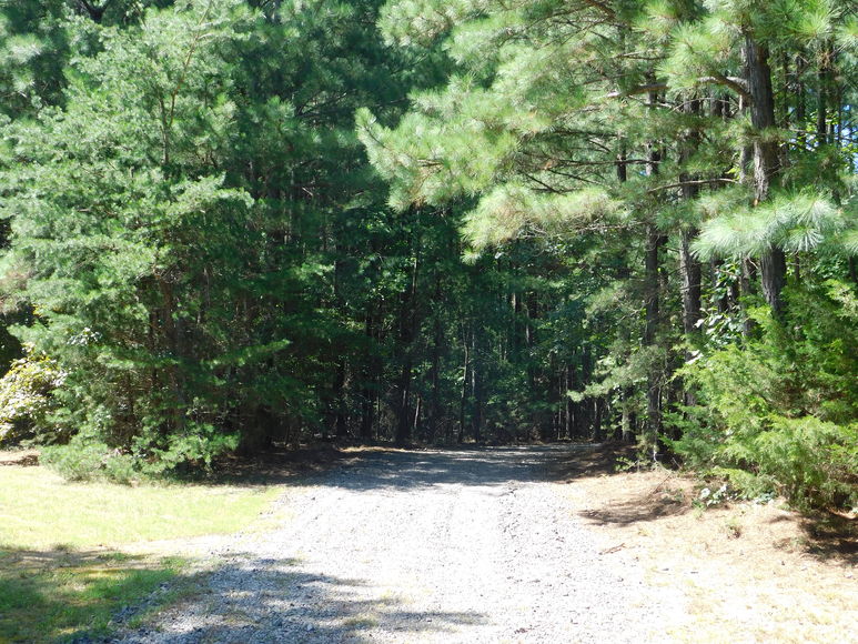 Image for 3 BR/2 BA Home w/Large Work Shop on 3.8 +/- Acres in Orange County, VA