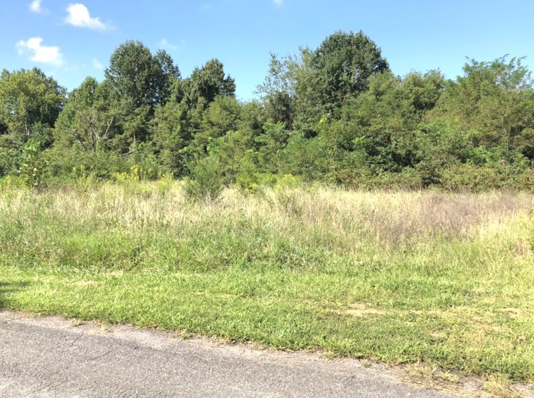 Tax Delinquent Real Estate Auction Appomattox County VA!