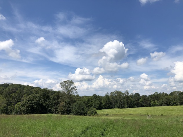 Image for 27.339 +/- Acres in Yadkin County, NC