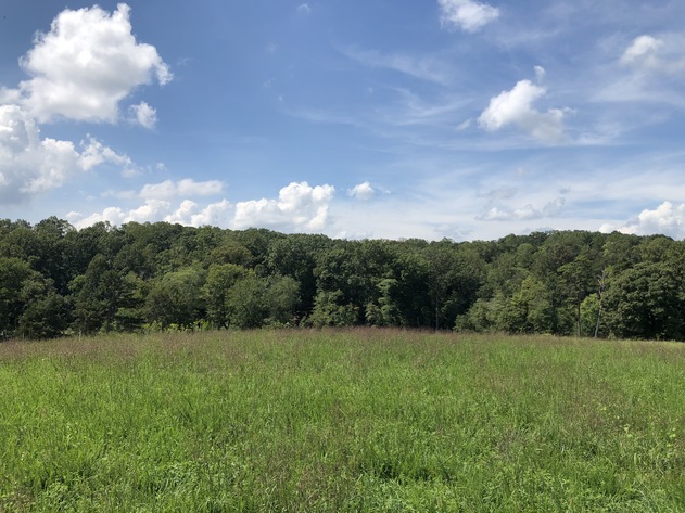 Image for 27.339 +/- Acres in Yadkin County, NC