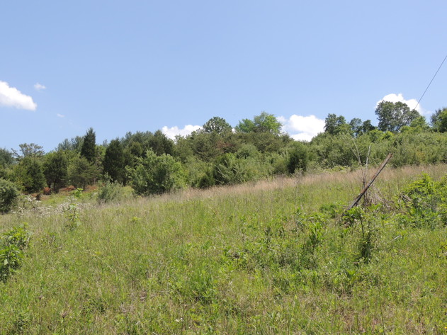 Image for One Acre Building Lot on Rye Hollow Road