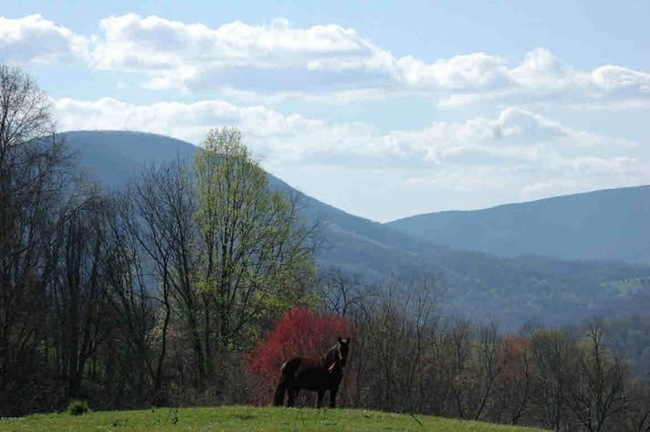 Image for 489 Acres Offered in 8 Tracts