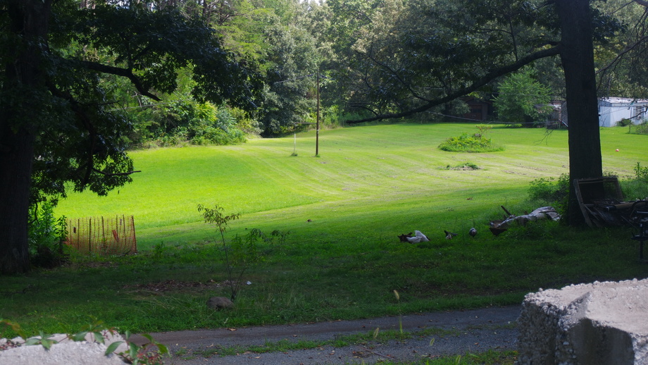 Image for 1,400' +/- of Rt. 29 Frontage!!  16.24 +/- Acres Offered in 2 Parcels:  .88 +/- Acres w/5 BR/3 BA Home and 15.33 +/- Acres w/Mobile Home Park, Former Motel & Outbuildings.  Selling to the Highest Bidder Regardless of Price!!