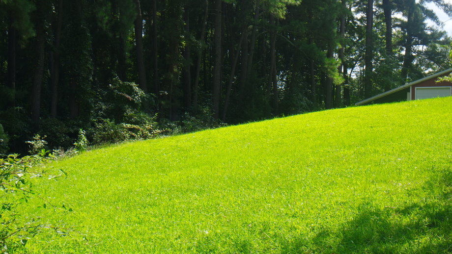 Image for 1,400' +/- of Rt. 29 Frontage!!  16.24 +/- Acres Offered in 2 Parcels:  .88 +/- Acres w/5 BR/3 BA Home and 15.33 +/- Acres w/Mobile Home Park, Former Motel & Outbuildings.  Selling to the Highest Bidder Regardless of Price!!