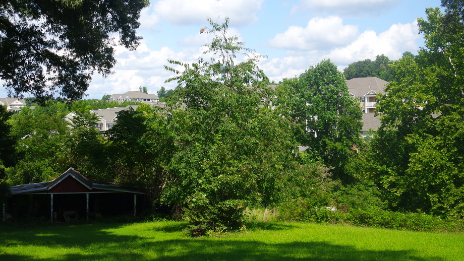 Image for 1,400' +/- of Rt. 29 Frontage!!  16.24 +/- Acres Offered in 2 Parcels:  .88 +/- Acres w/5 BR/3 BA Home and 15.33 +/- Acres w/Mobile Home Park, Former Motel & Outbuildings.  Selling to the Highest Bidder Regardless of Price!!