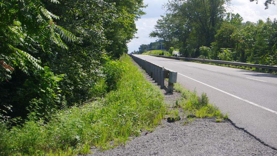 Image for 1,400' +/- of Rt. 29 Frontage!!  16.24 +/- Acres Offered in 2 Parcels:  .88 +/- Acres w/5 BR/3 BA Home and 15.33 +/- Acres w/Mobile Home Park, Former Motel & Outbuildings.  Selling to the Highest Bidder Regardless of Price!!