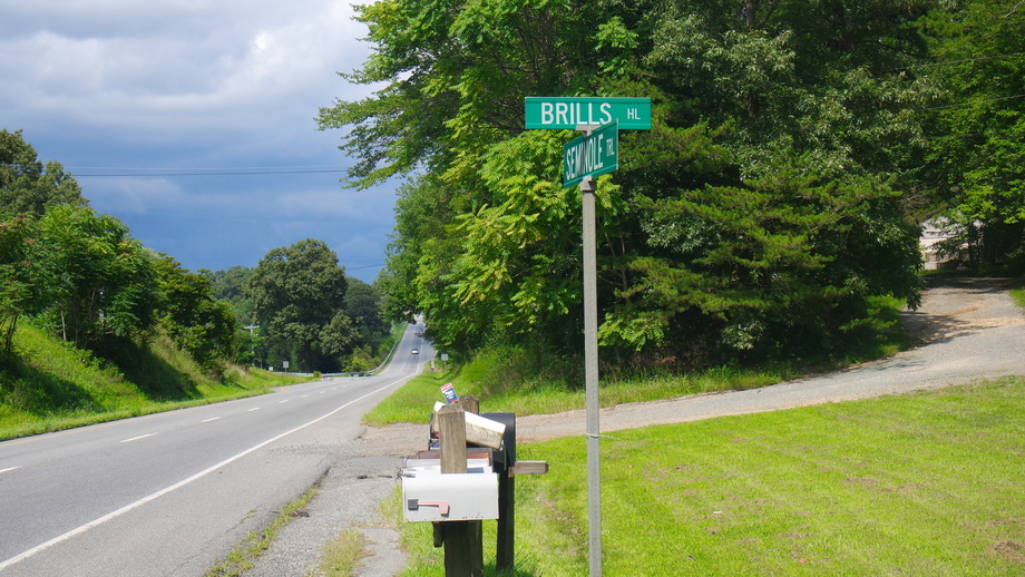 Image for 1,400' +/- of Rt. 29 Frontage!!  16.24 +/- Acres Offered in 2 Parcels:  .88 +/- Acres w/5 BR/3 BA Home and 15.33 +/- Acres w/Mobile Home Park, Former Motel & Outbuildings.  Selling to the Highest Bidder Regardless of Price!!