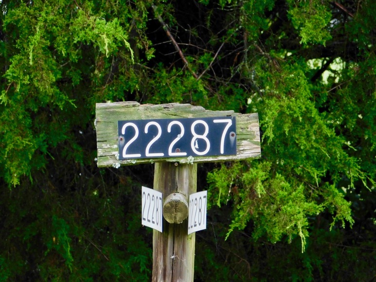 Image for 5 BR Farm House & Several Outbuildings on 14 +/- Acres in Orange County, VA--Selling to the Highest Bidder!!