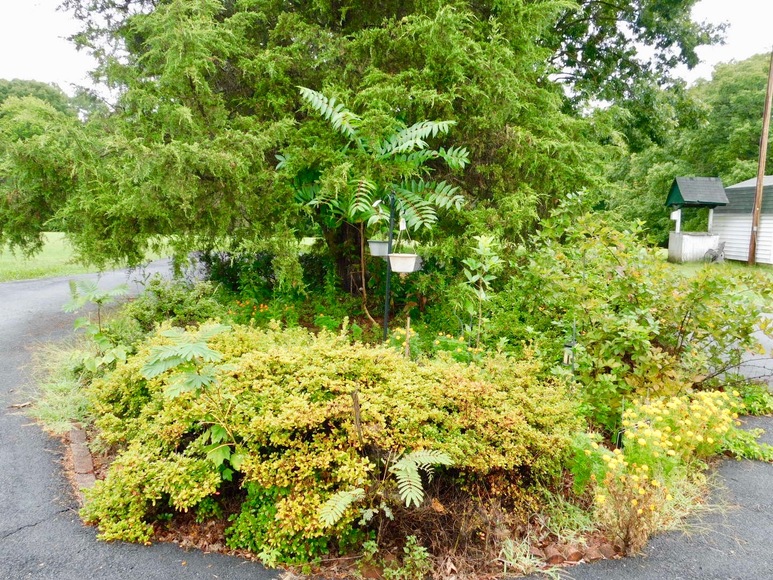 Image for 5 BR Farm House & Several Outbuildings on 14 +/- Acres in Orange County, VA--Selling to the Highest Bidder!!