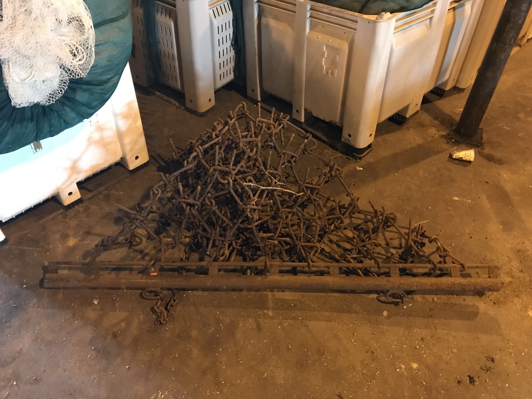 Image for Reedy Creek Winery