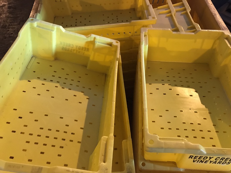 Image for Reedy Creek Winery