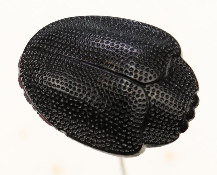 Image for Live and Online - Collector's Auction: 9-20-18