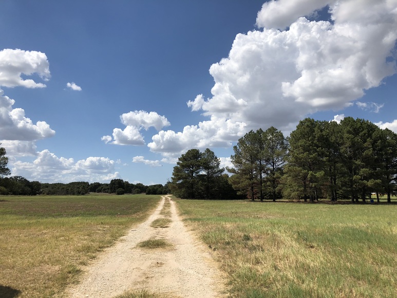 Image for 2018, September 22nd | Real Estate Auction