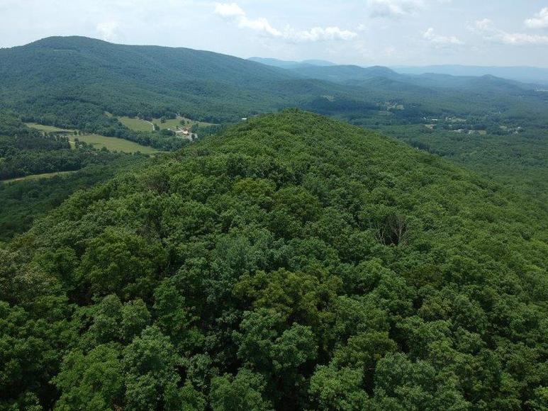 Image for 383 Wooded Acres