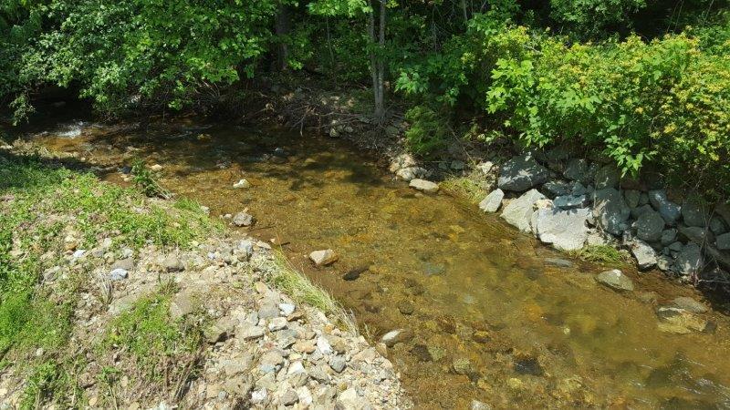 Image for 383 Wooded Acres