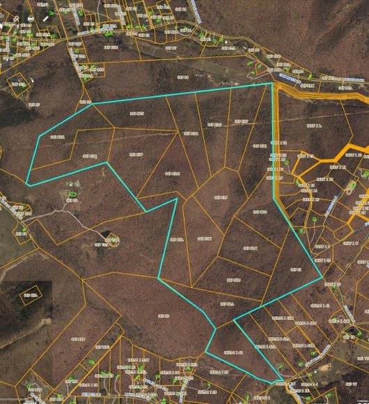 Image for 383 Wooded Acres