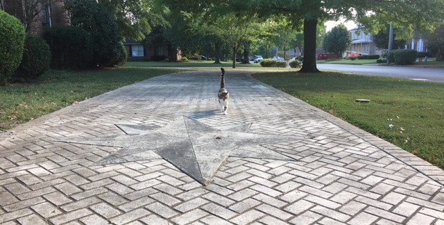 Image for 2215 Londonderry Drive, Murfreesboro