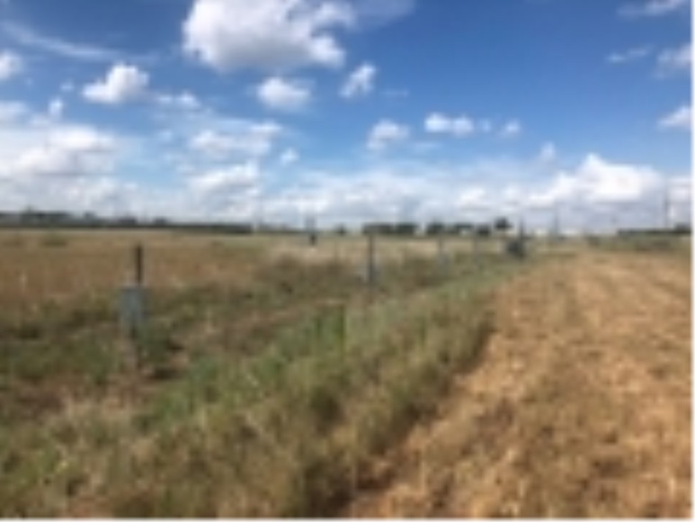 Image for 2018, September 29th | Real Estate Auction and Items