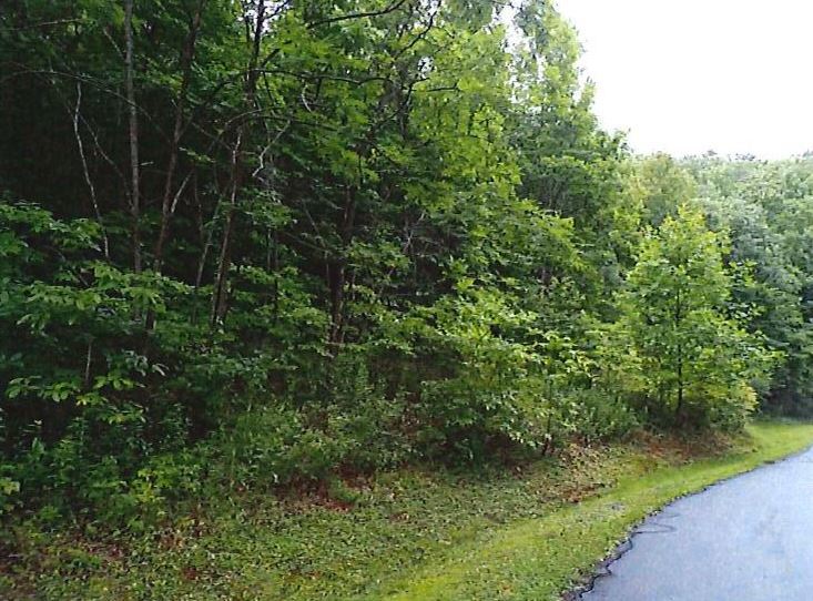 Image for Lot in Catawba Falls Preserve Subdivision - Black Mountain, NC