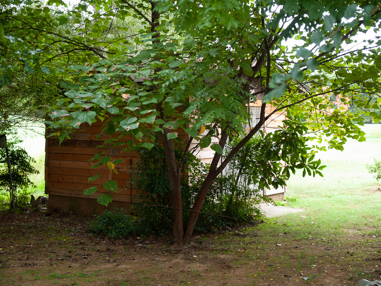 Image for REAL ESTATE AUCTION~LIBERTY