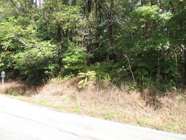 Image for 3.8 Acres on Bent Mountain Road