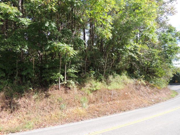 Image for 3.8 Acres on Bent Mountain Road