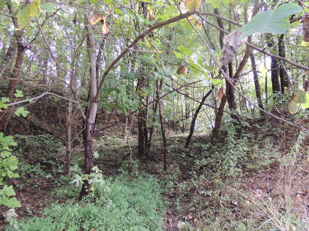 Image for 3.8 Acres on Bent Mountain Road