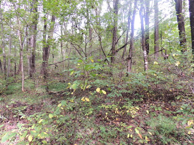 Image for 3.8 Acres on Bent Mountain Road