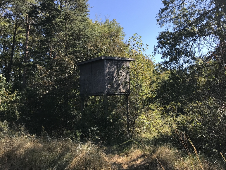 Image for 9931 Irish Lane