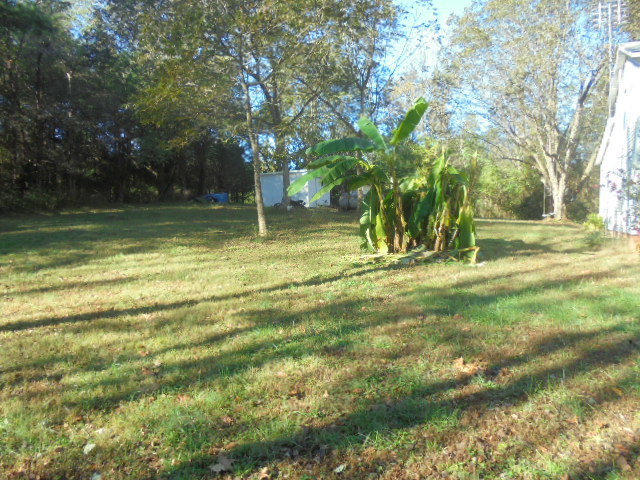 Image for REAL ESTATE AUCTION & PERSONAL PROPERTY~ELON