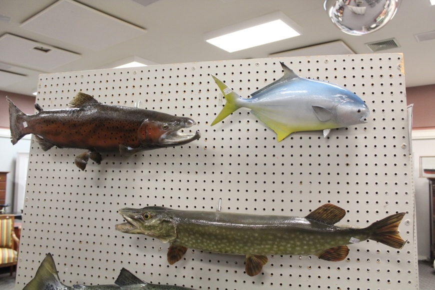 Image for Field and Stream Auction: 11-1-18