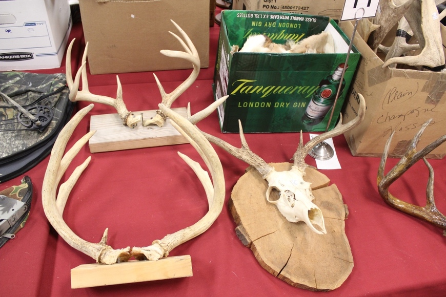 Image for Field and Stream Auction: 11-1-18