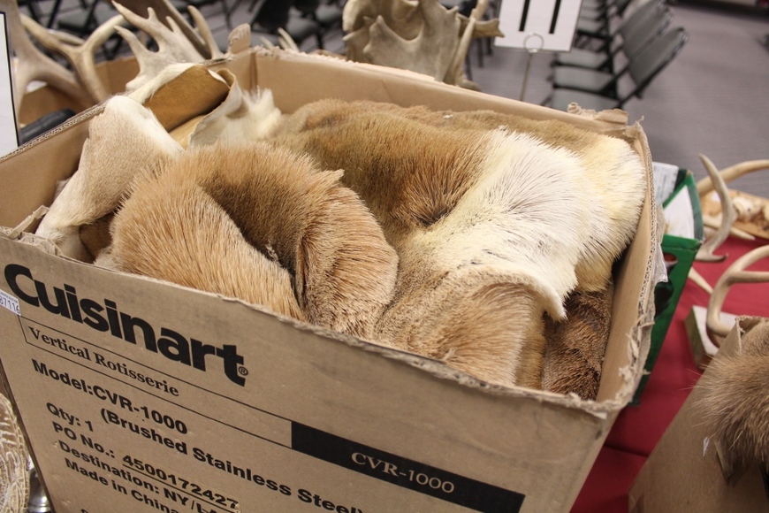 Image for Field and Stream Auction: 11-1-18