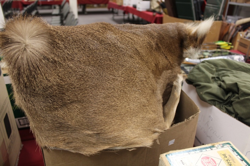 Image for Field and Stream Auction: 11-1-18