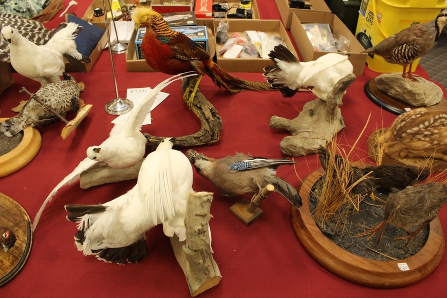 Image for Field and Stream Auction: 11-1-18