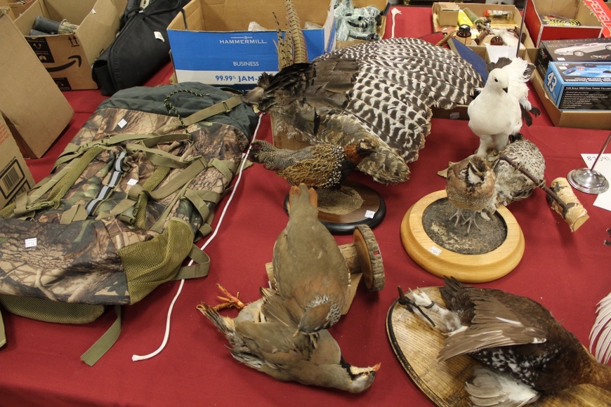 Image for Field and Stream Auction: 11-1-18