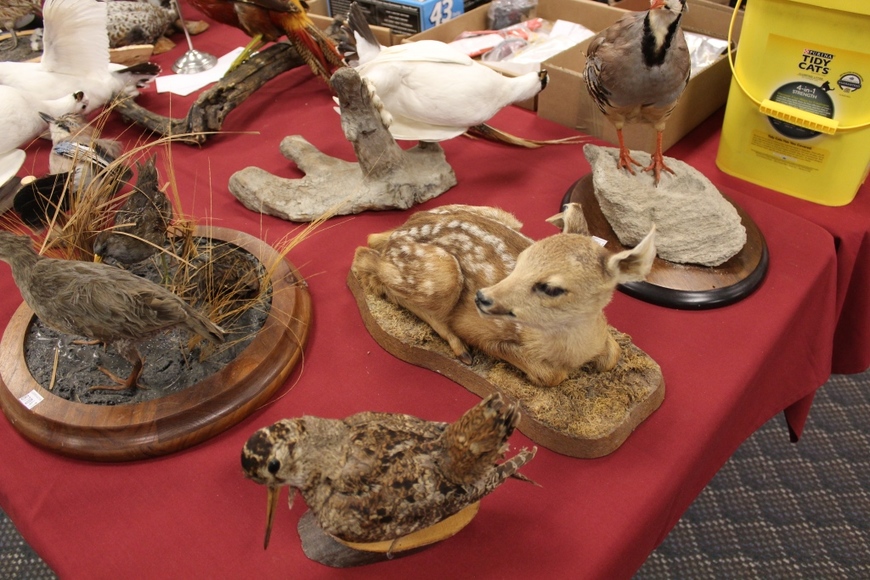 Image for Field and Stream Auction: 11-1-18