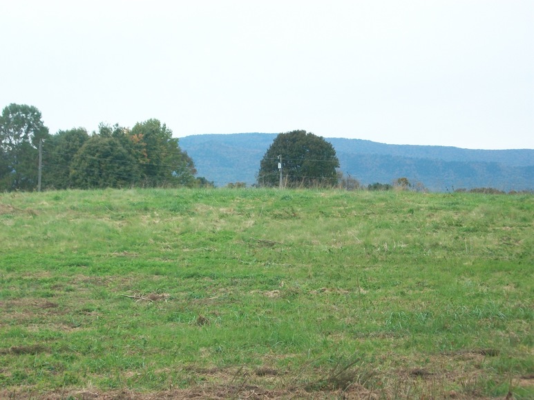 Image for Real Estate Auction (Elkton, VA)