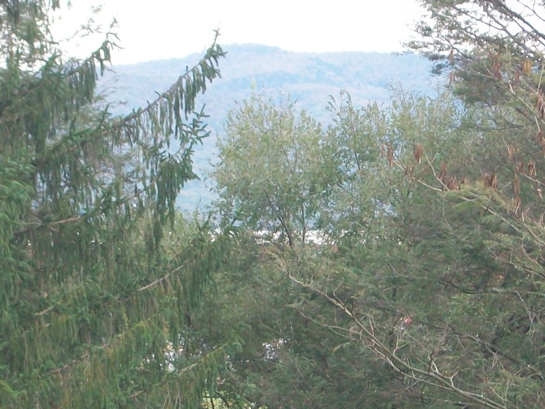 Image for Real Estate Auction (Elkton, VA)