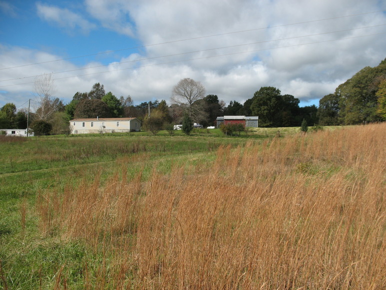 Image for ABSOLUTE AUCTION (Wright Estate)