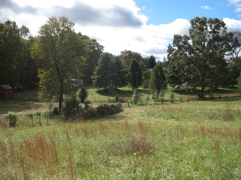 Image for ABSOLUTE AUCTION (Wright Estate)