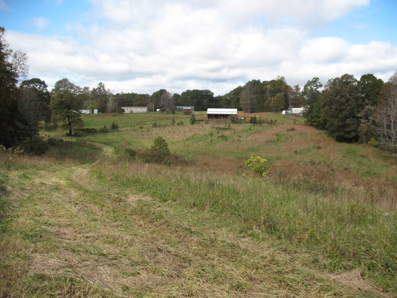 Image for ABSOLUTE AUCTION (Wright Estate)