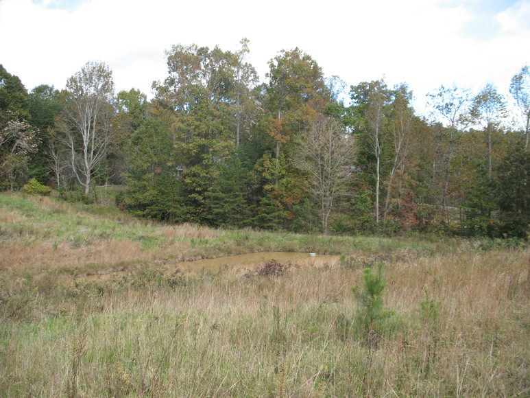 Image for ABSOLUTE AUCTION (Wright Estate)